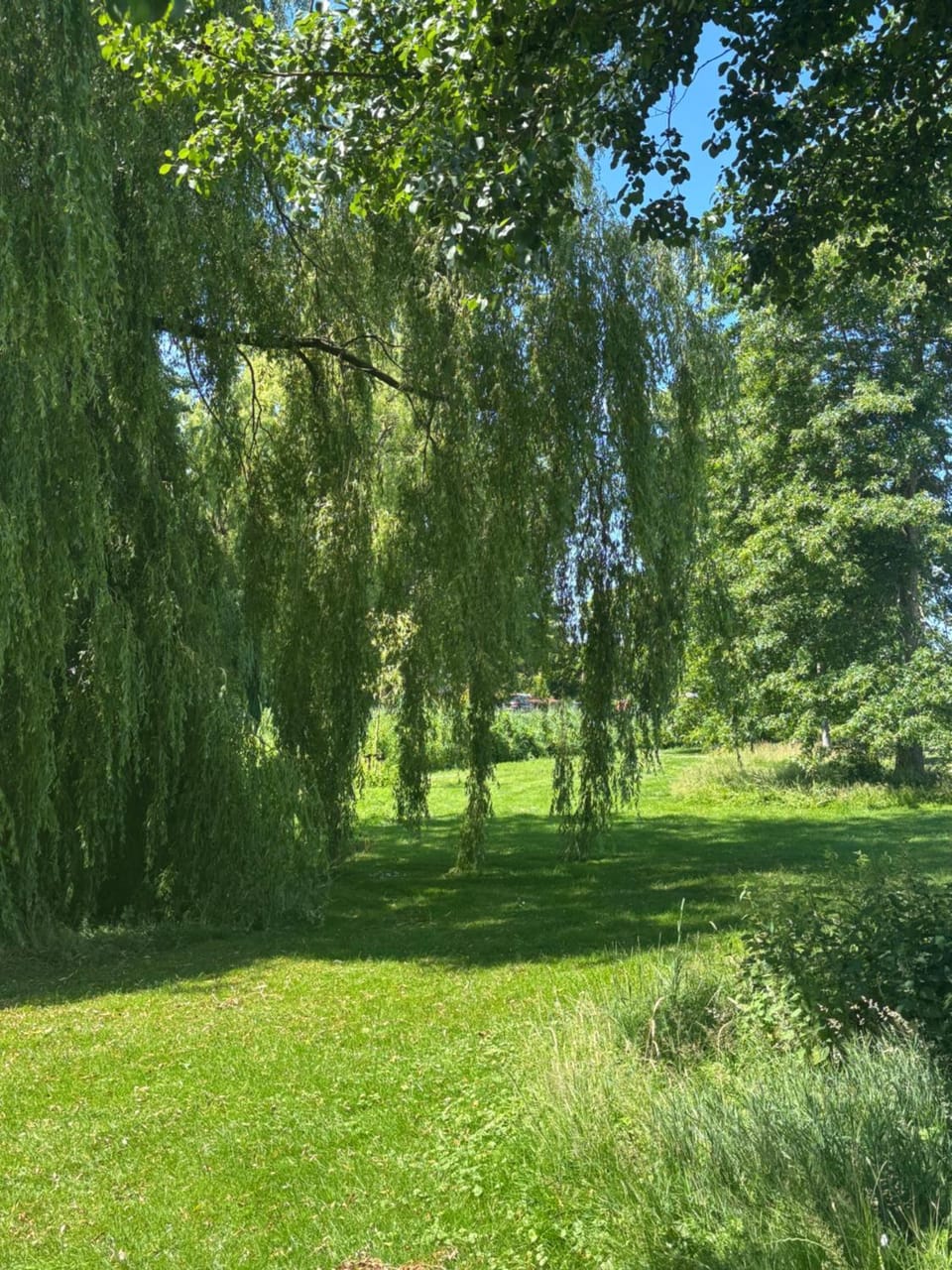 Garden view