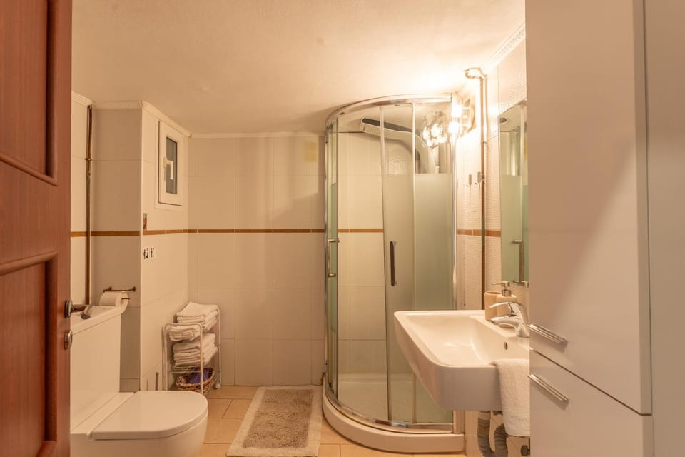 Shower, Toilet, Bathroom, towels