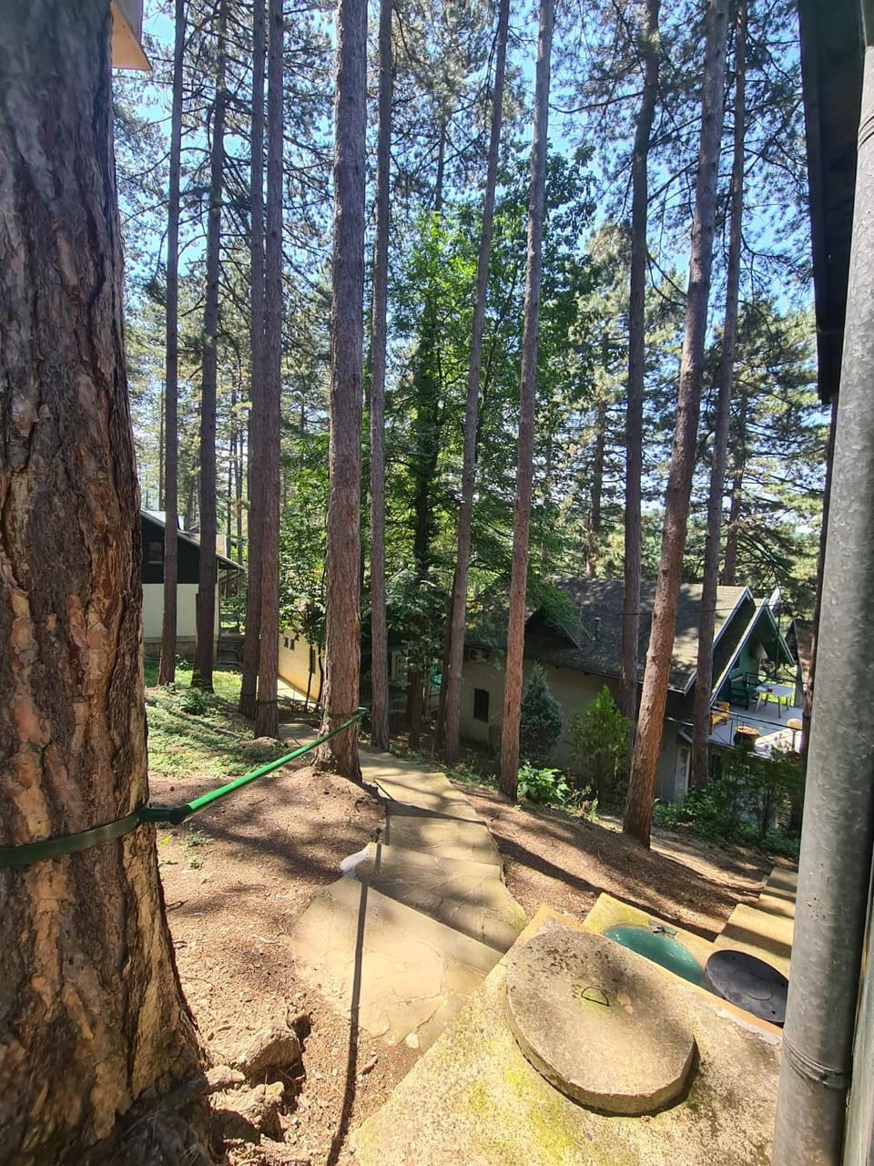 Green door 2 House in Serbia