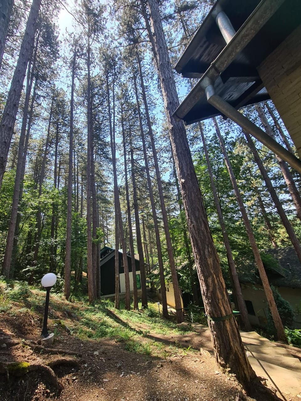 Green door 2 House in Serbia