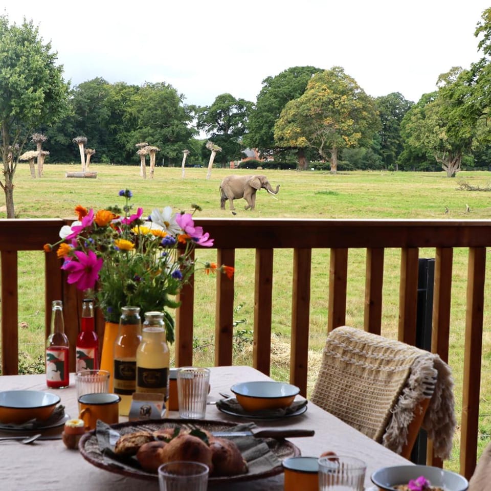Food close-up, Activities, BBQ facilities, Children play ground, View (from property/room), Balcony/Terrace, Food and drinks, Evening entertainment, Animals, Guests, Garden view, Entertainment, Meals, Breakfast, Lunch, Dinner, children, young children, older children, Family, storage, stove, toaster