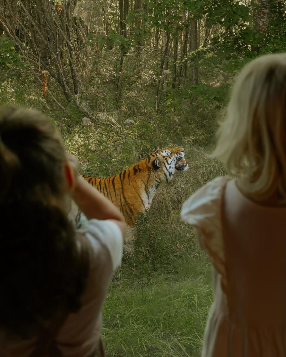 View (from property/room), View (from property/room), Animals, Animals