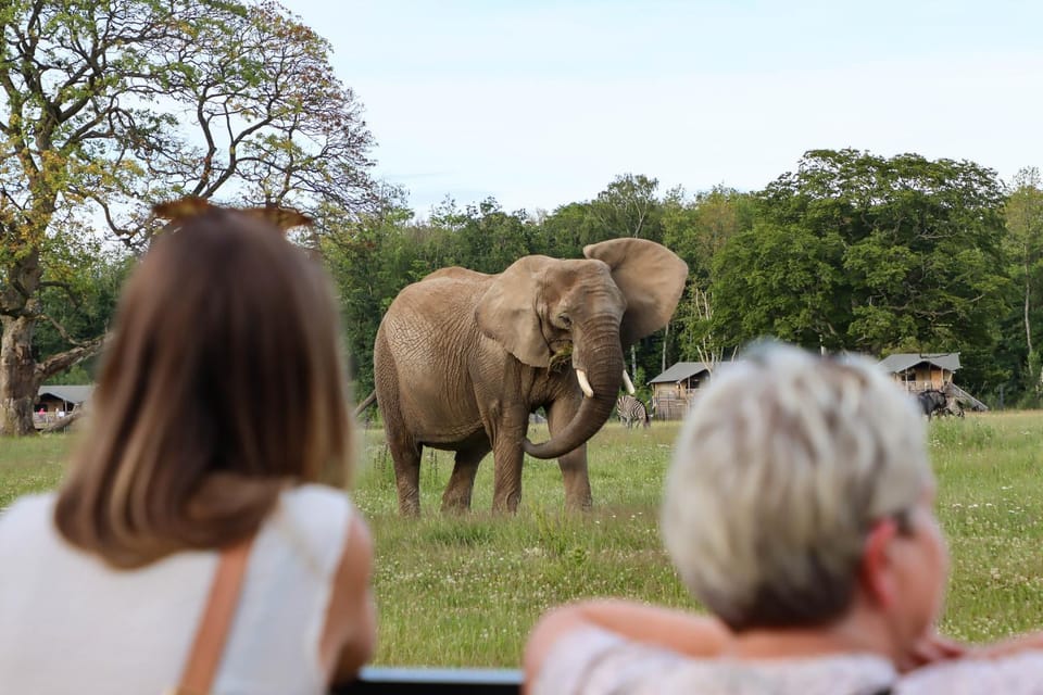 View (from property/room), Animals, Animals
