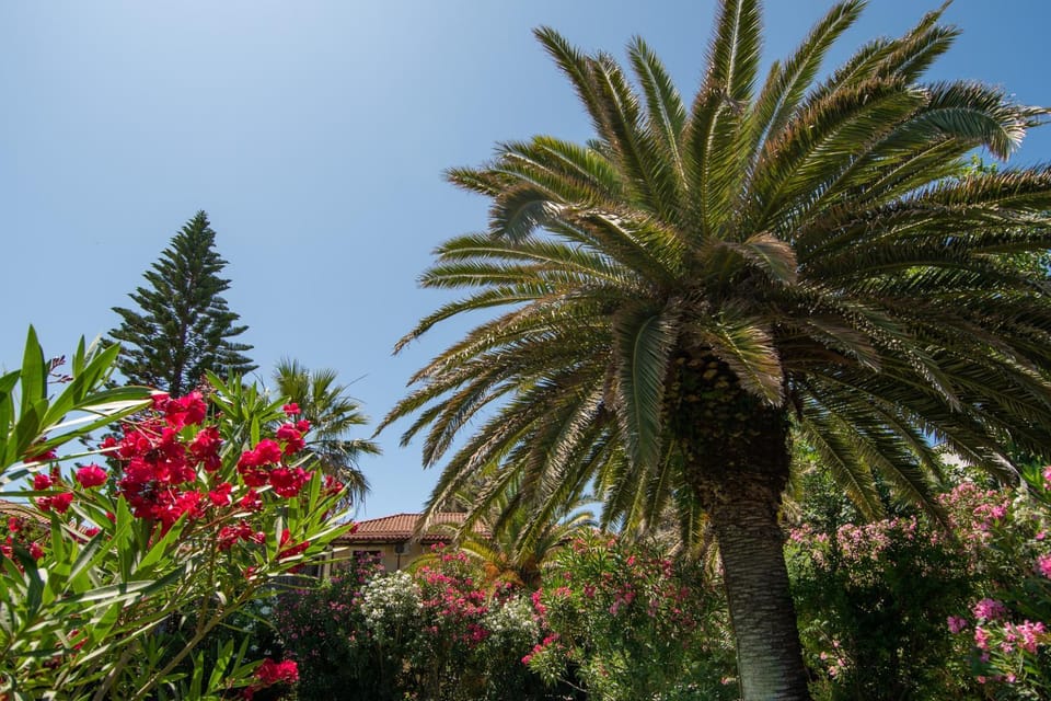 Hara Studios Apartment hotel in Zakynthos, Greece