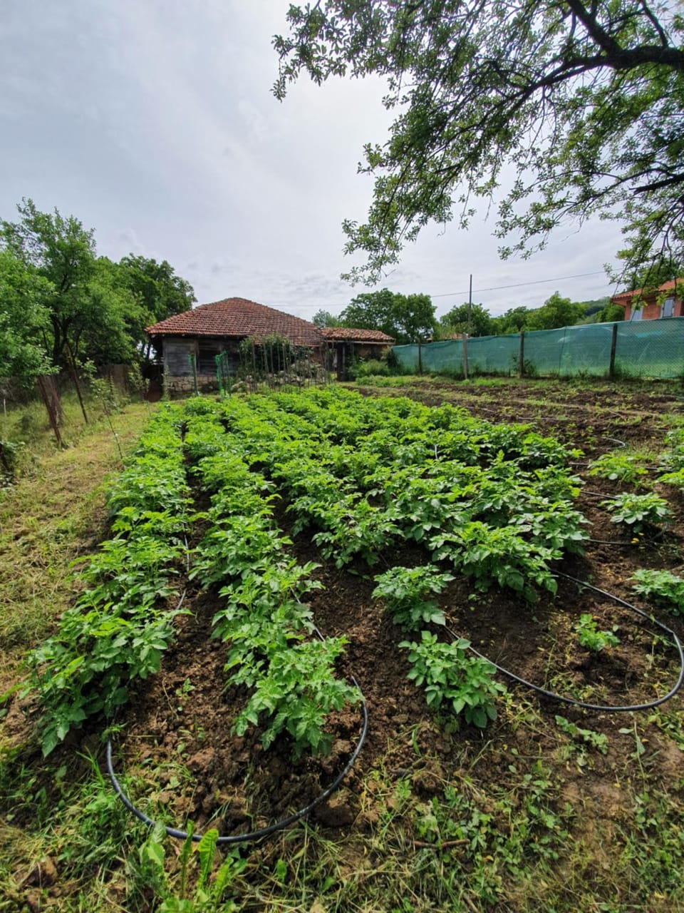 Boutique guest house "SamiKan" Villa in Veliko Tarnovo Province, Bulgaria