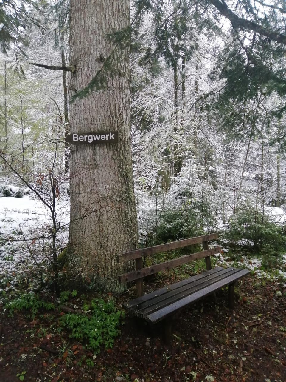 Nearby landmark
