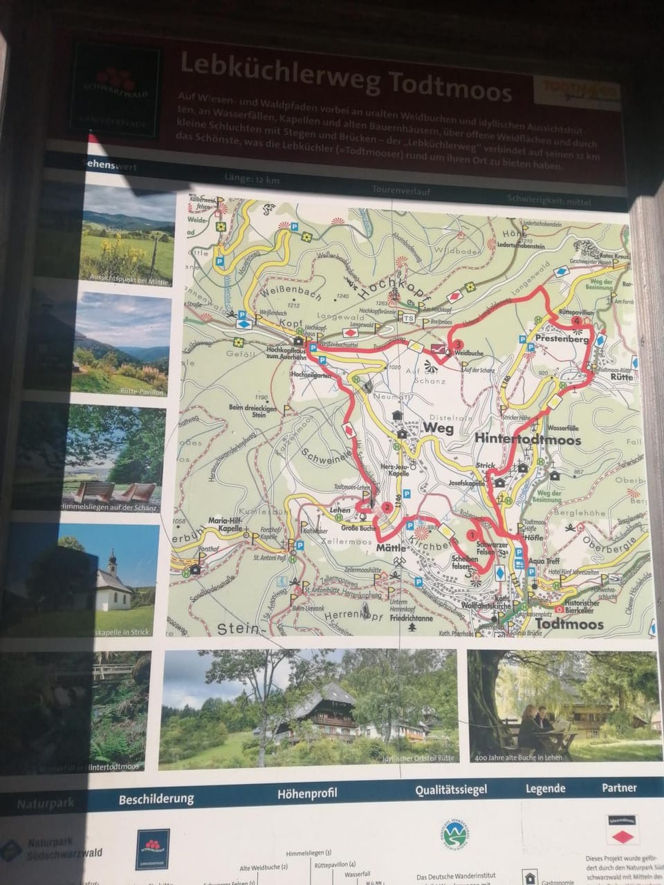 Hiking