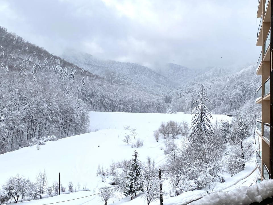 Nature Escape Apartment Apartment in Brasov