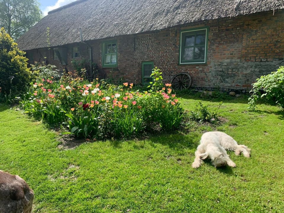 Kruemelkate House in Nordfriesland