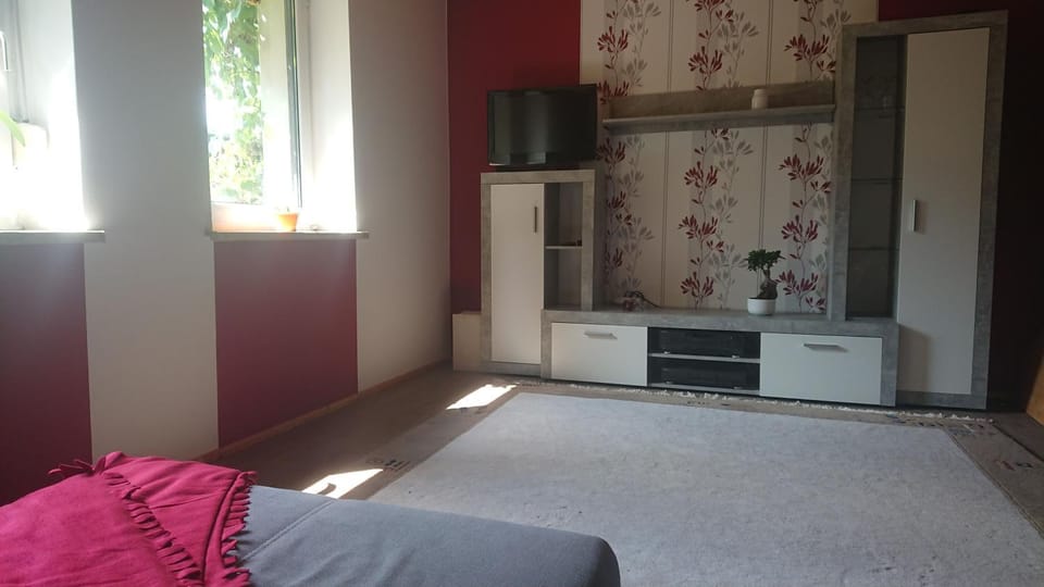 FeWo Erika Apartment in Saxony