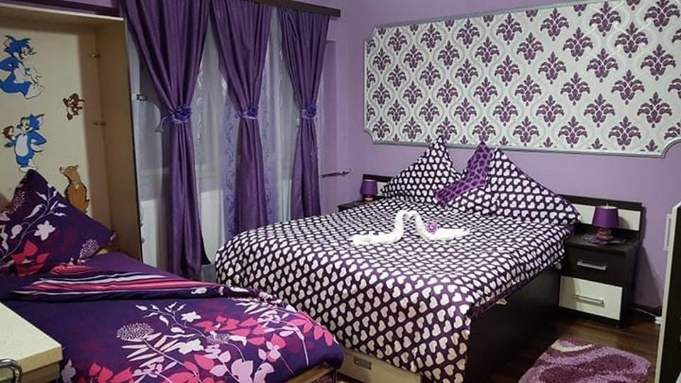 Garsoniera Cristina Apartment in Hungary
