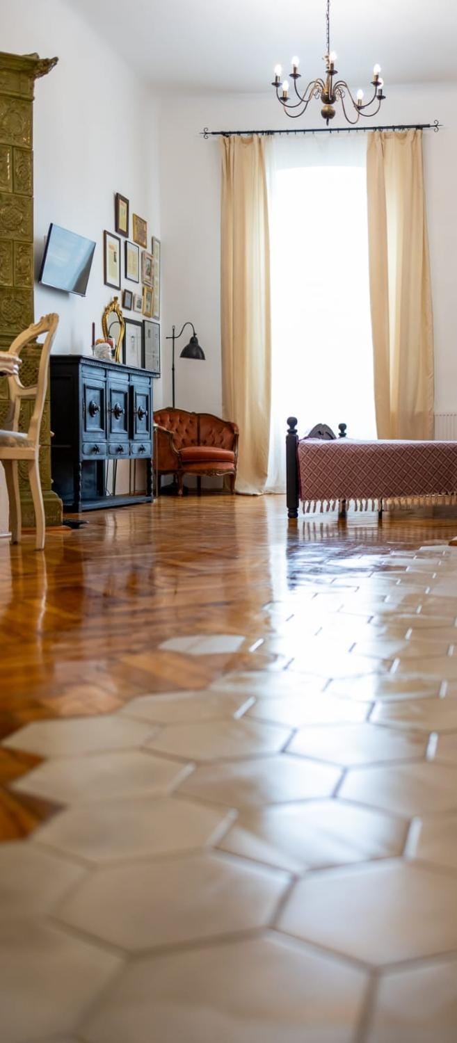 Maxim's place Apartment in Timisoara