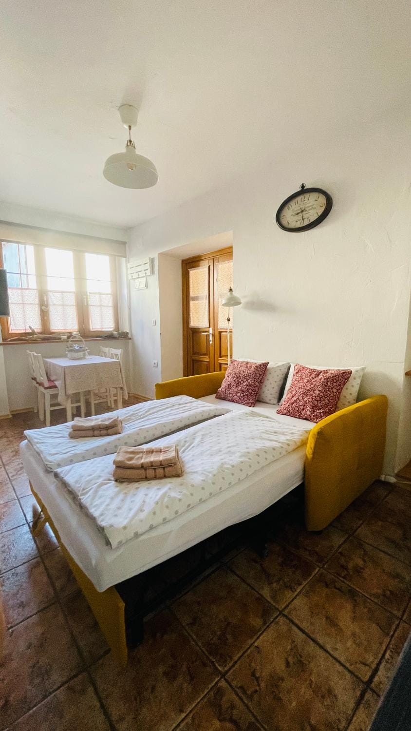 Apartma Cici Apartment in Friuli-Venezia Giulia