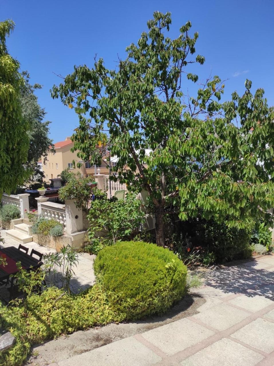 Garden view