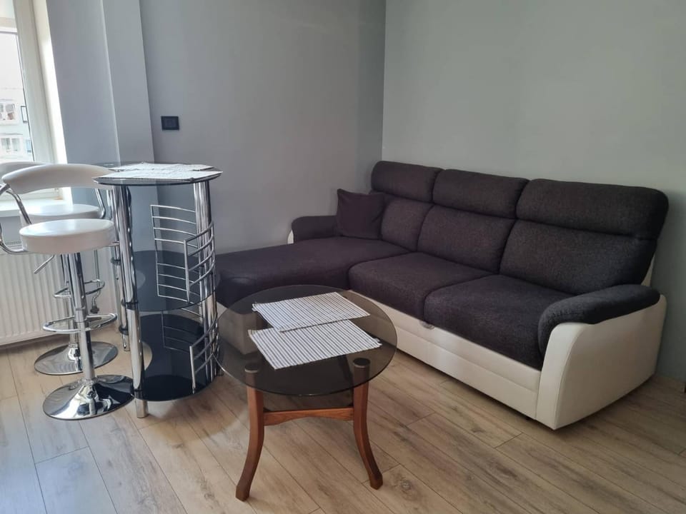 Pas Romaną Apartment in Lithuania