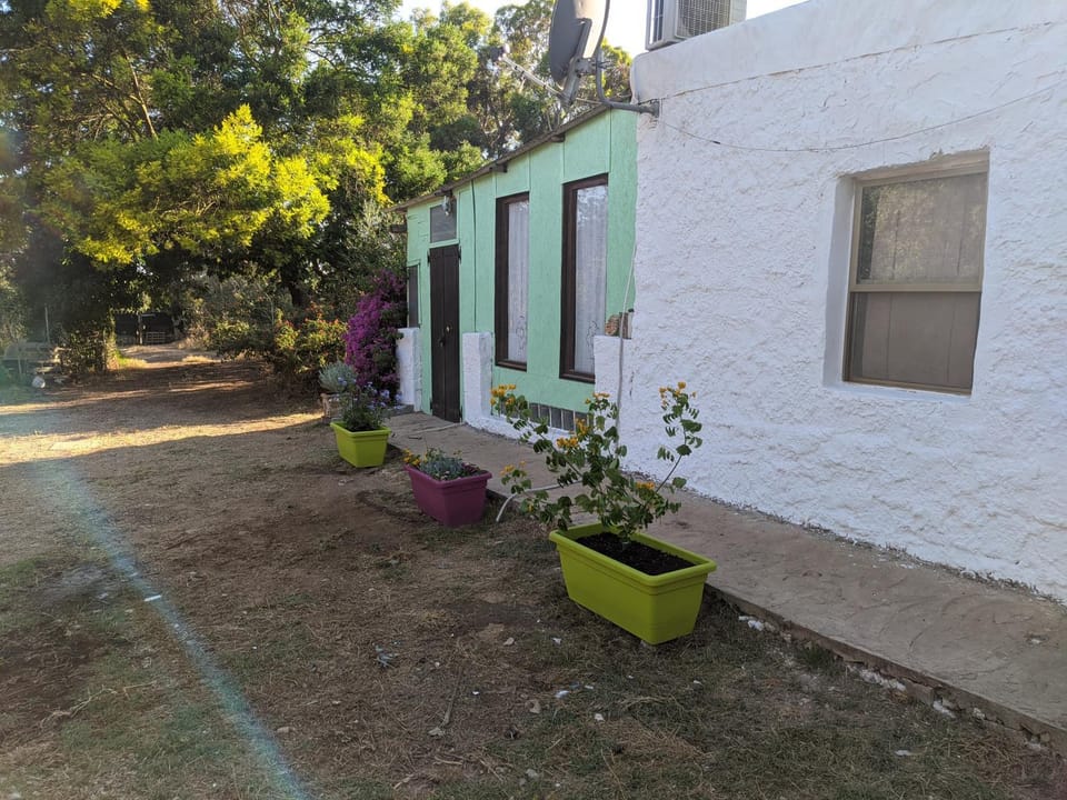 Property building, Day, Garden, Garden view