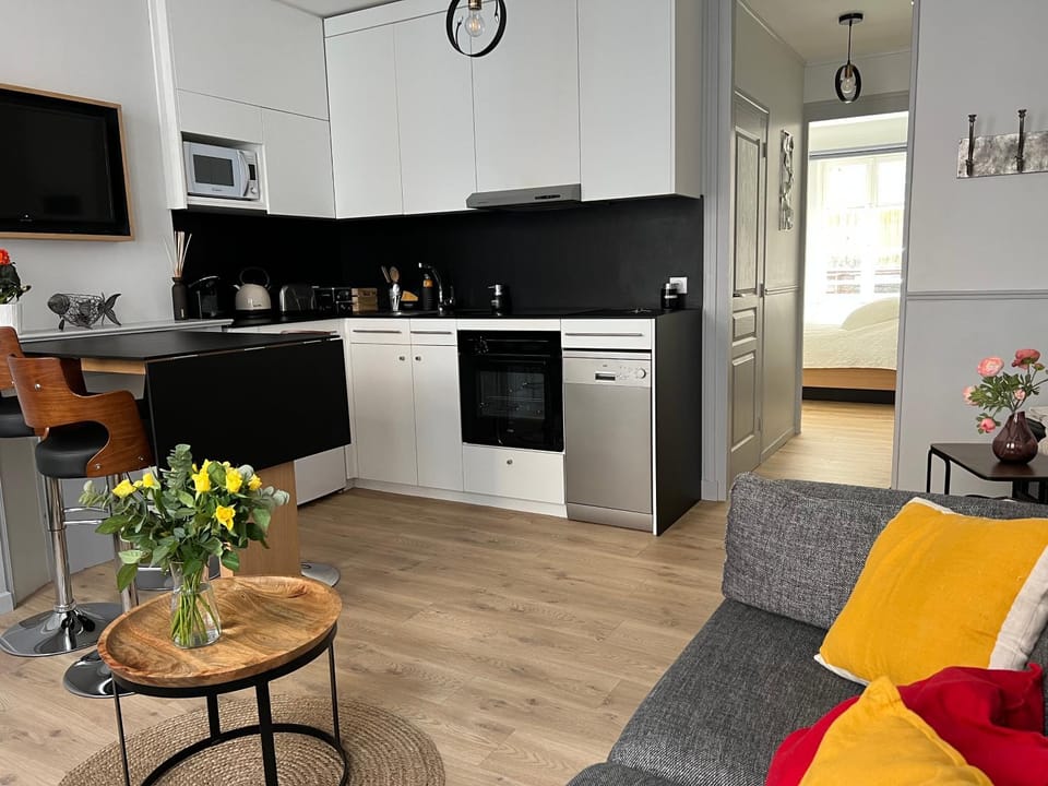 dishwasher, oven, stove, kitchen