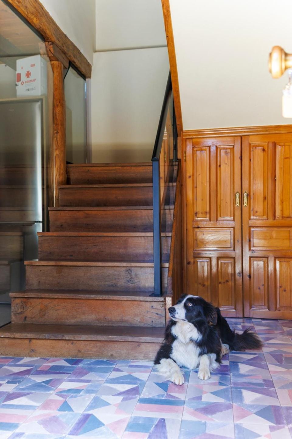 pet friendly