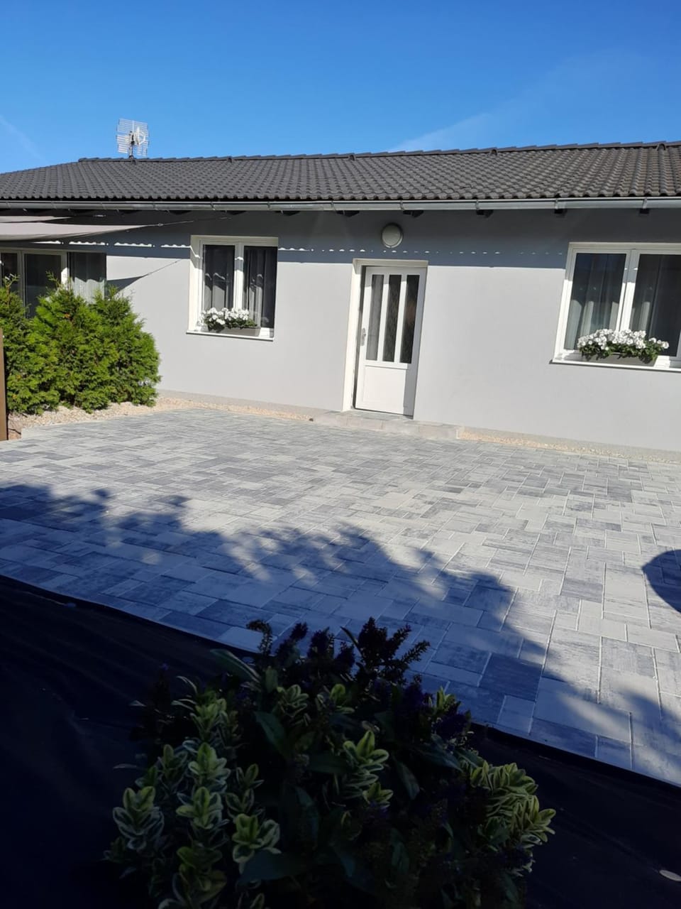 Ela Apartment Vilová House in Czechia