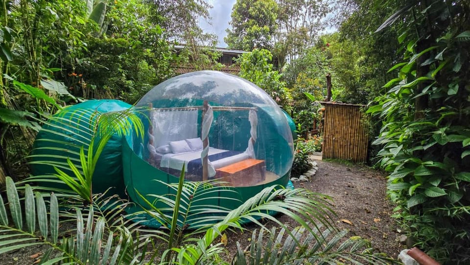 Mindo GlamBird Glamping & Lodge Nature lodge in Pichincha