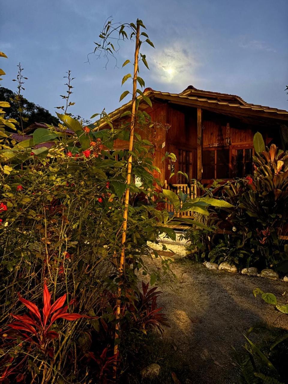 Mindo GlamBird Glamping & Lodge Nature lodge in Pichincha