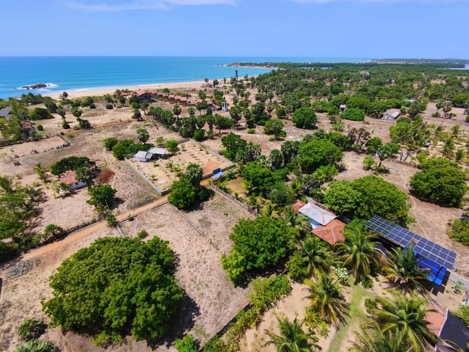 Spring, Day, Natural landscape, Bird's eye view, Beach, Sea view