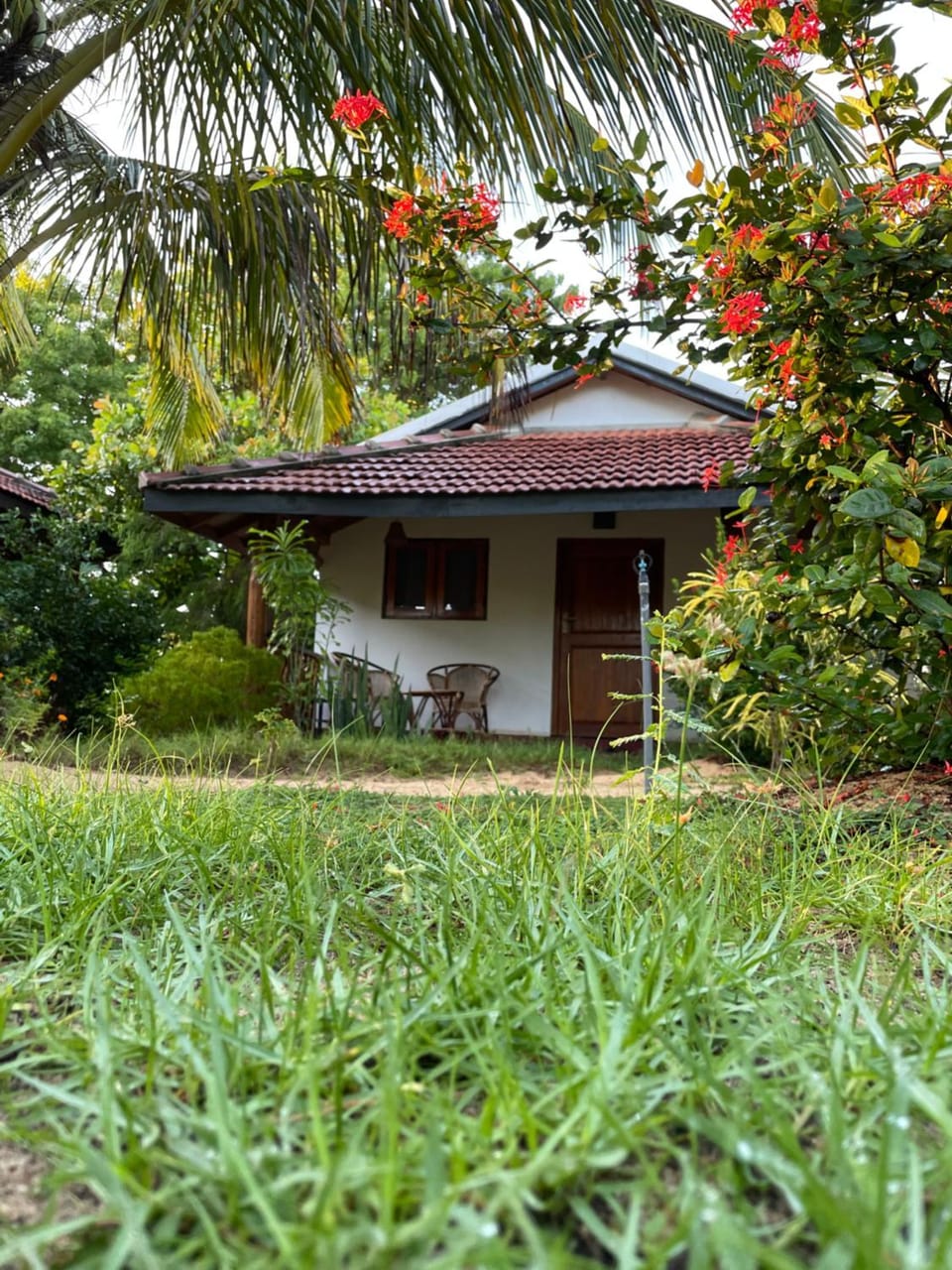 Property building, Natural landscape, Garden, Garden view