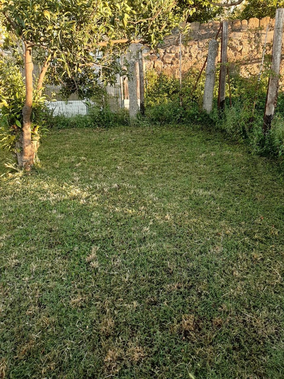 Il Glicine - Casa vacanza Apartment in Campania