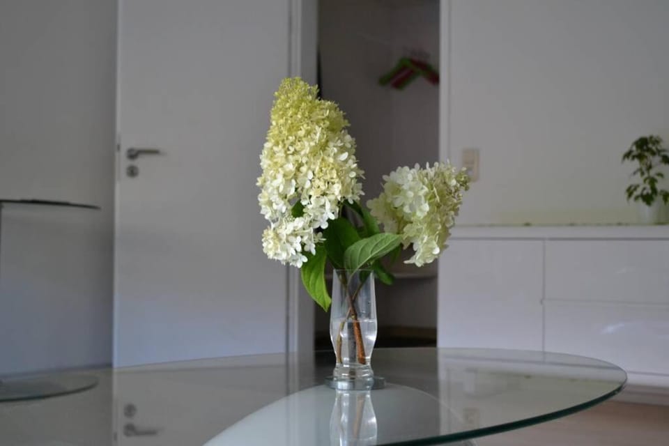 Ferienwohnung Stimmer Apartment in Grainau