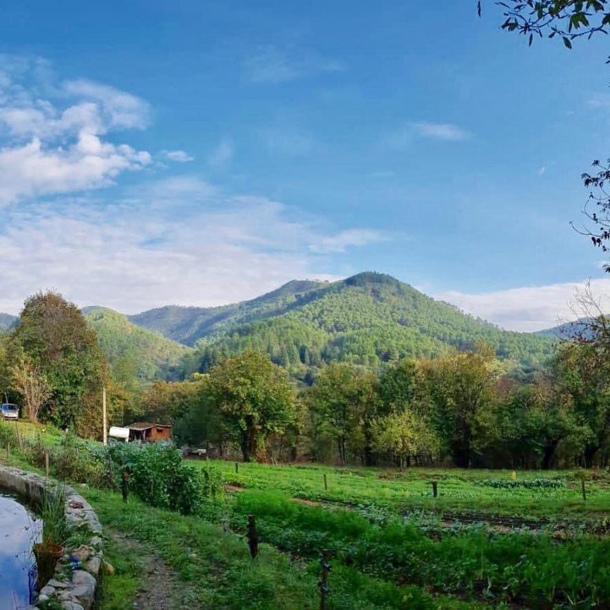 Le Gîte - La Ferme du Pouget House in Occitanie
