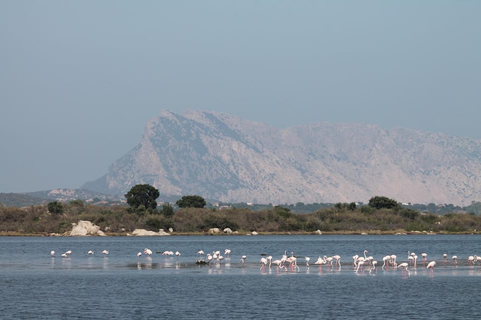 Natural landscape