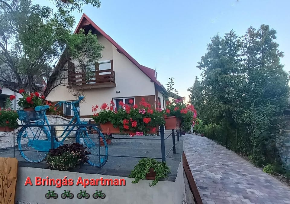 Bike & Chill Apartment Apartment in Hungary
