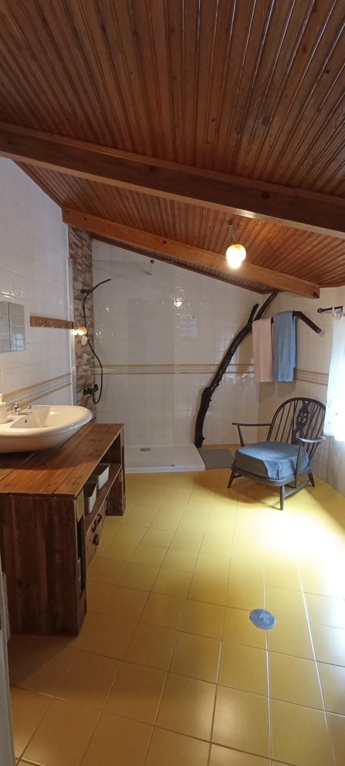 Casa do Rio House in Coimbra