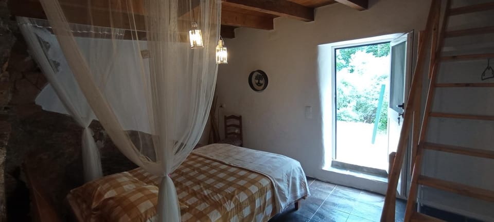 Casa do Rio House in Coimbra