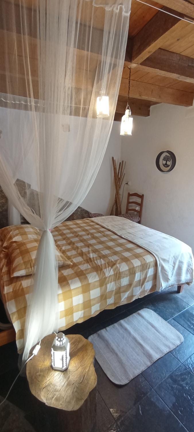 Casa do Rio House in Coimbra