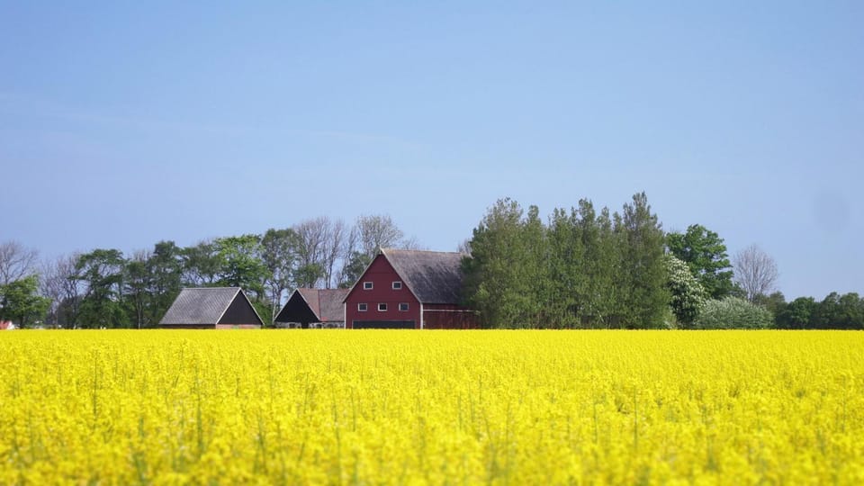 Natural landscape