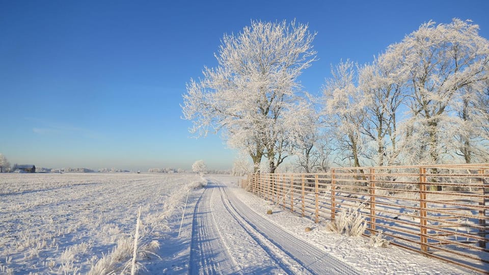 Natural landscape, Winter