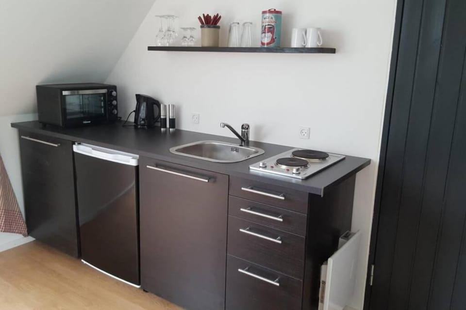 Elleholm Apartment in Region of Southern Denmark