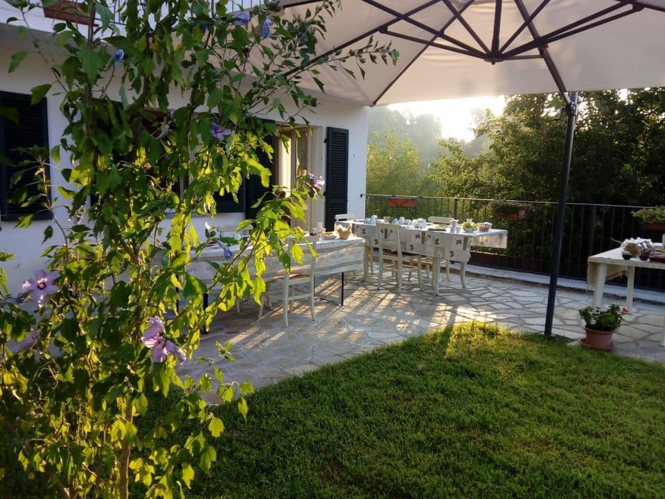 Garden, Garden, Dining area, Garden view