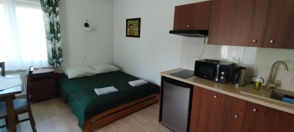 Bed, Kitchen or kitchenette, Photo of the whole room, Bedroom, stove