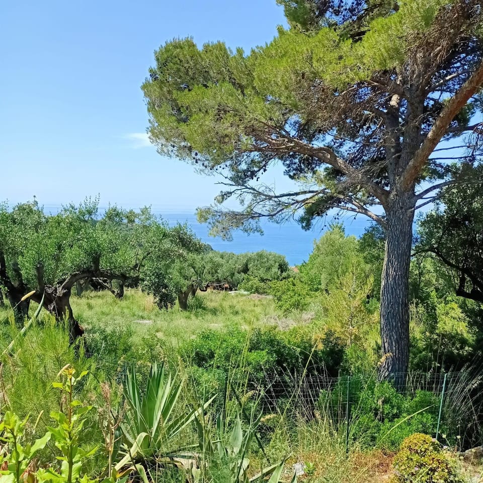 Sea view
