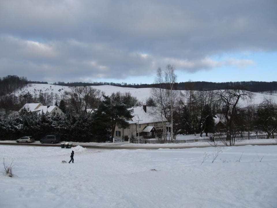 Property building, Natural landscape, Winter