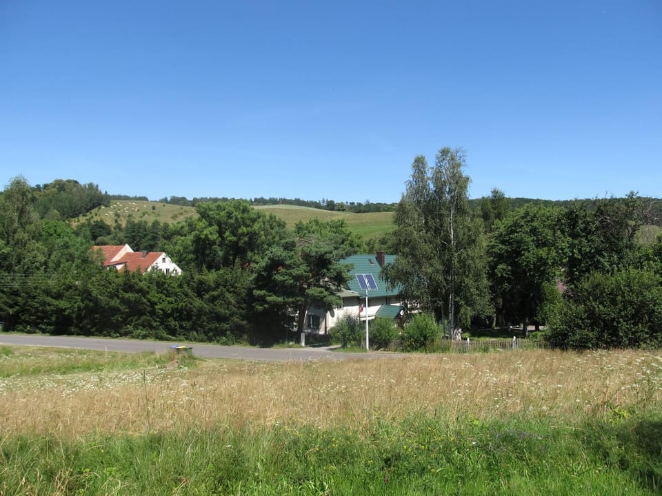 Summer, View (from property/room)