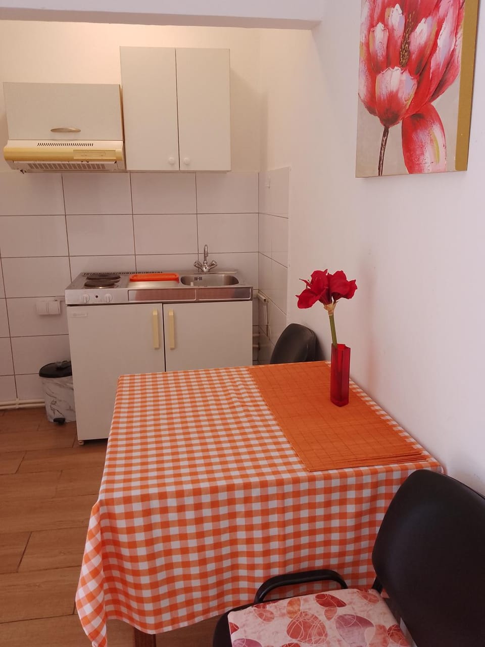 PANORAMA Apartment in Serbia