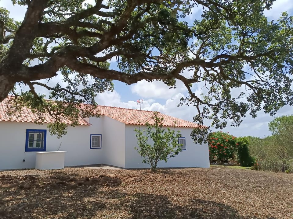 Monte Alentejano - Melides House in Setubal District