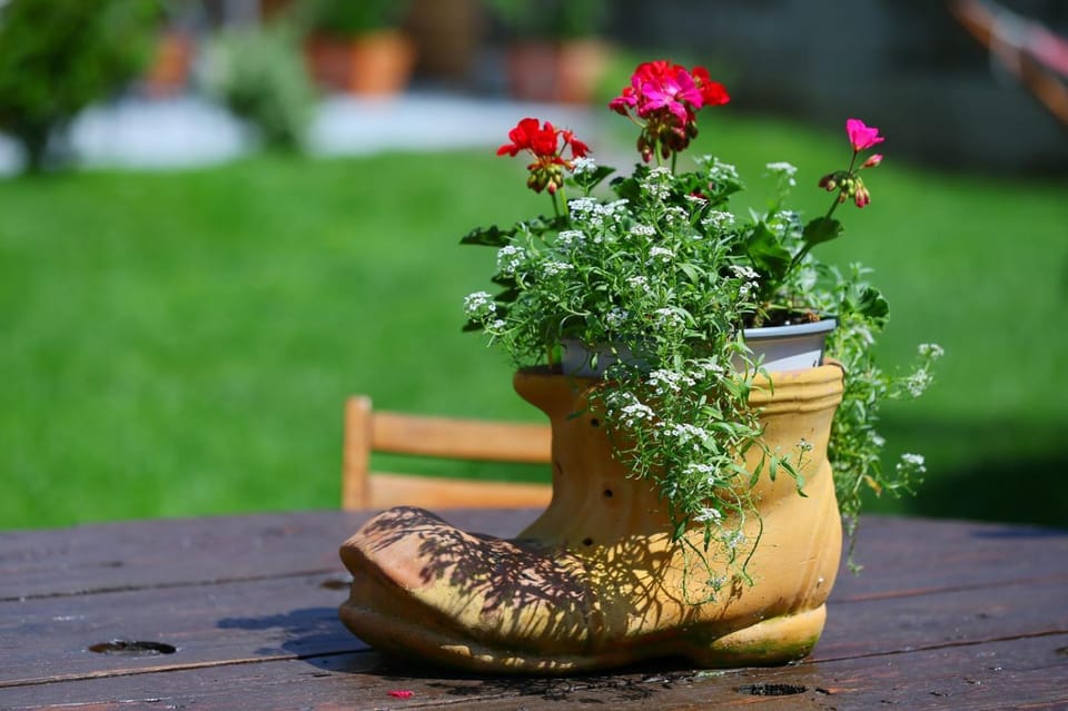 Spring, Garden