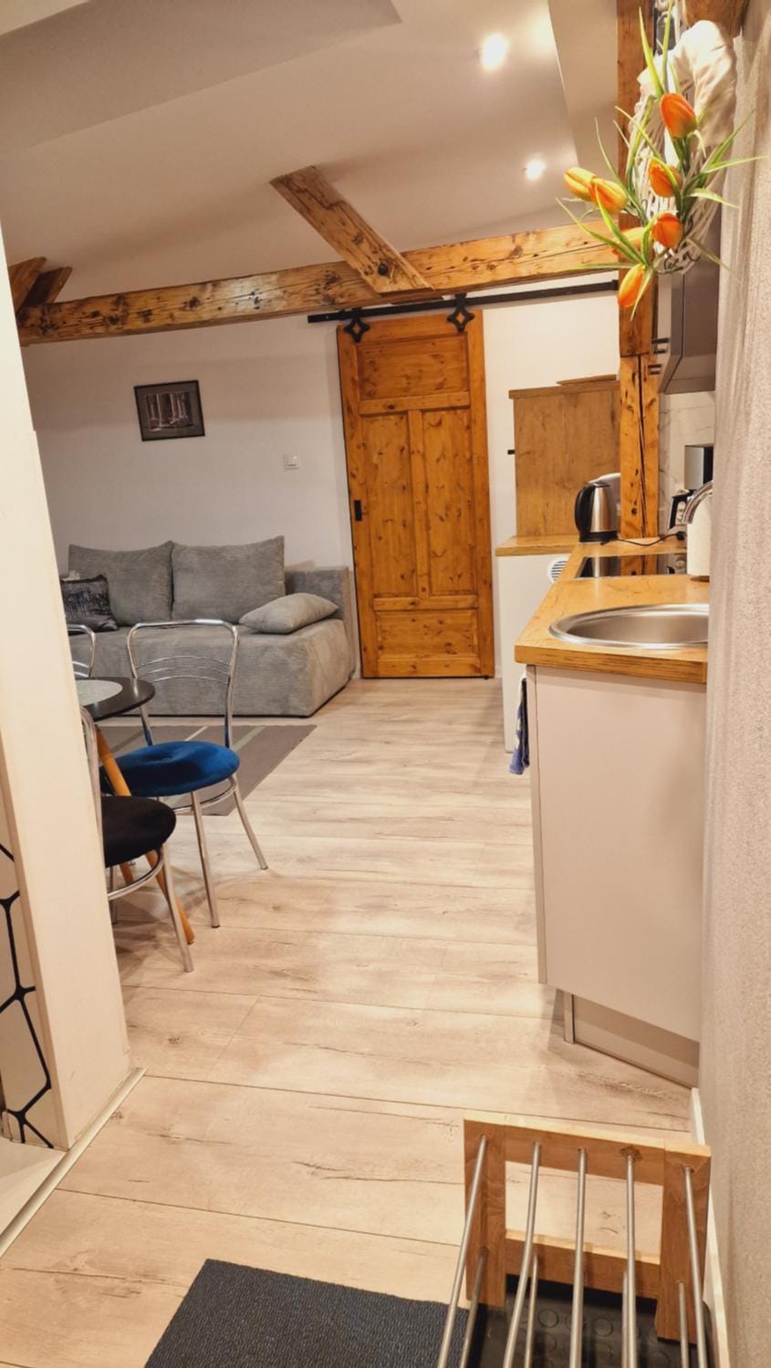 Kamienica "Pod dębem" Apartment in Poland