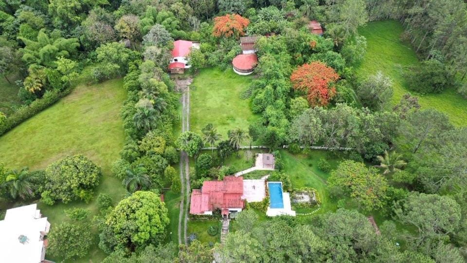 Property building, Bird's eye view, Garden view