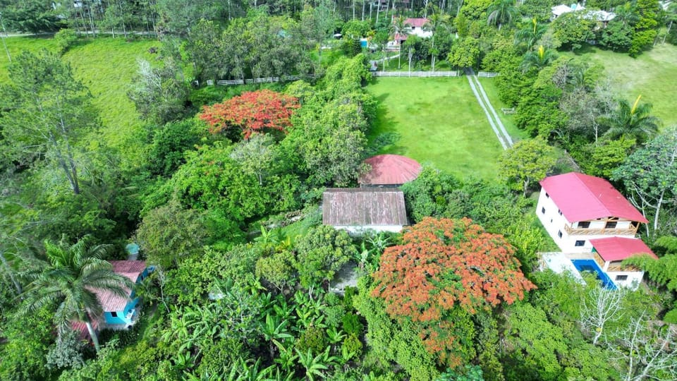 Property building, Bird's eye view, Garden
