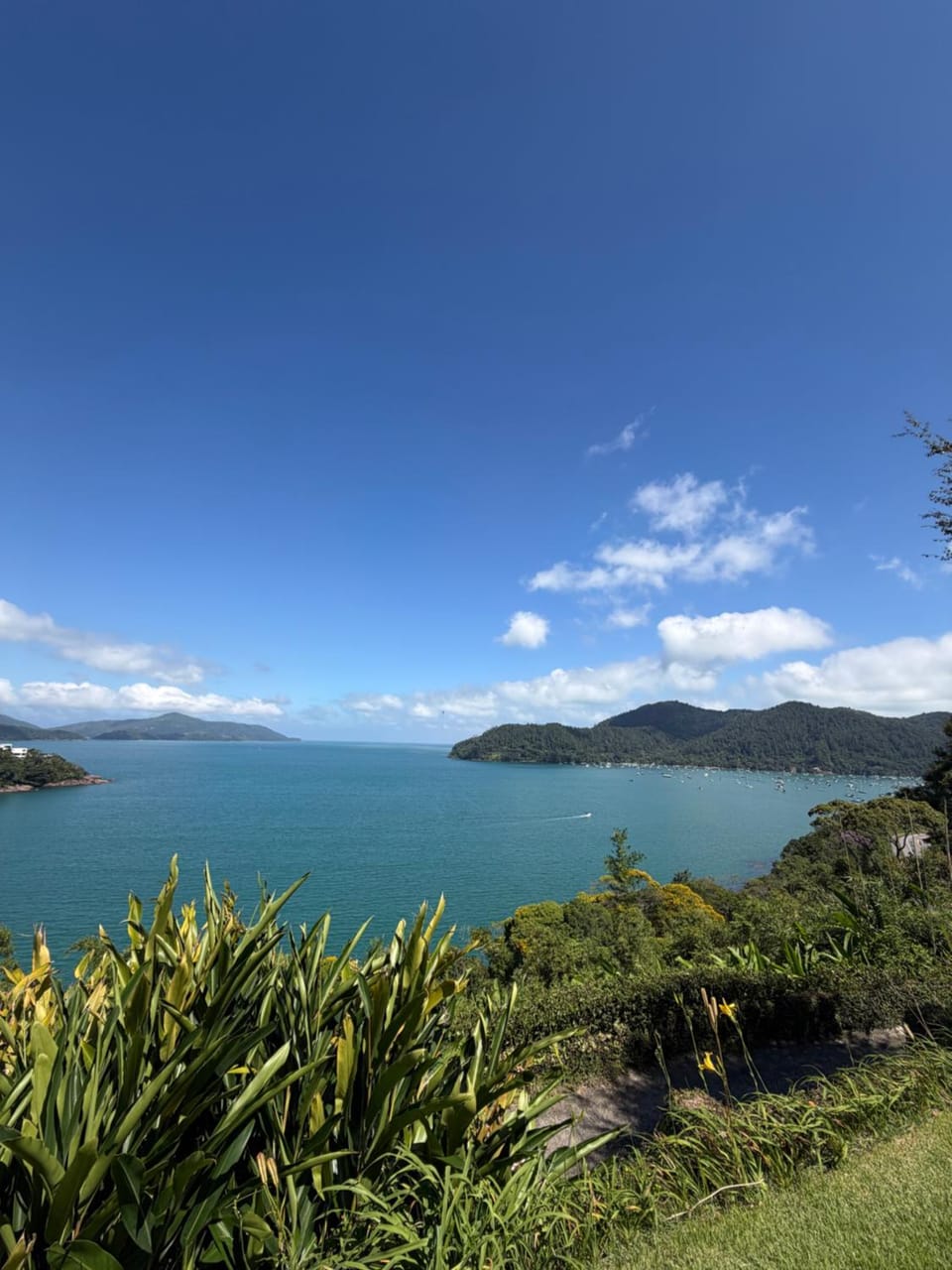 Landmark view